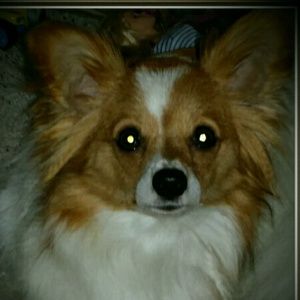 Meet your Posher, Cynthia